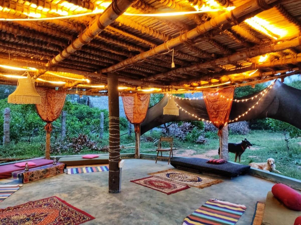 Apartmán Beyond Community Auroville Exteriér fotografie