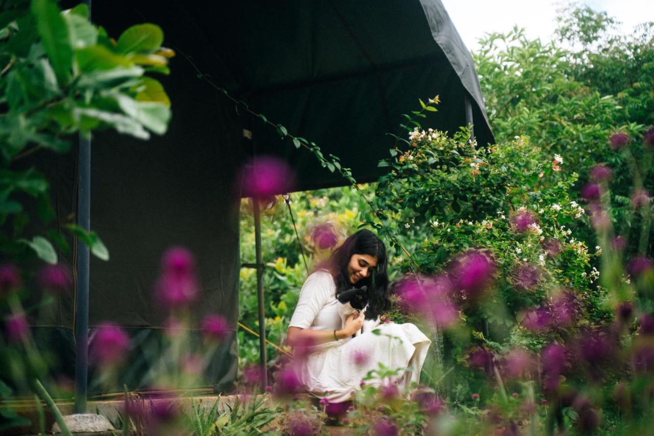 Apartmán Beyond Community Auroville Exteriér fotografie