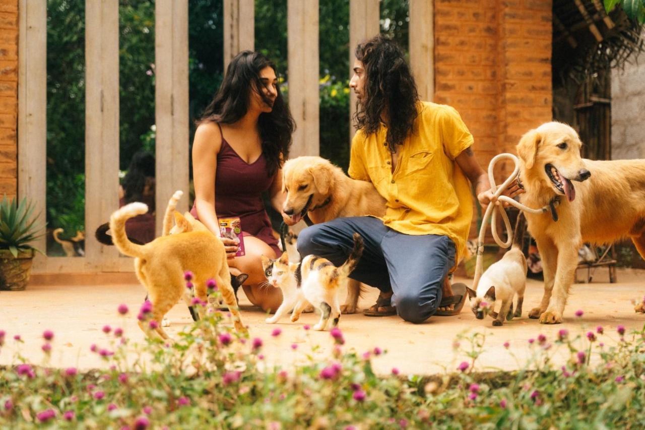 Apartmán Beyond Community Auroville Exteriér fotografie