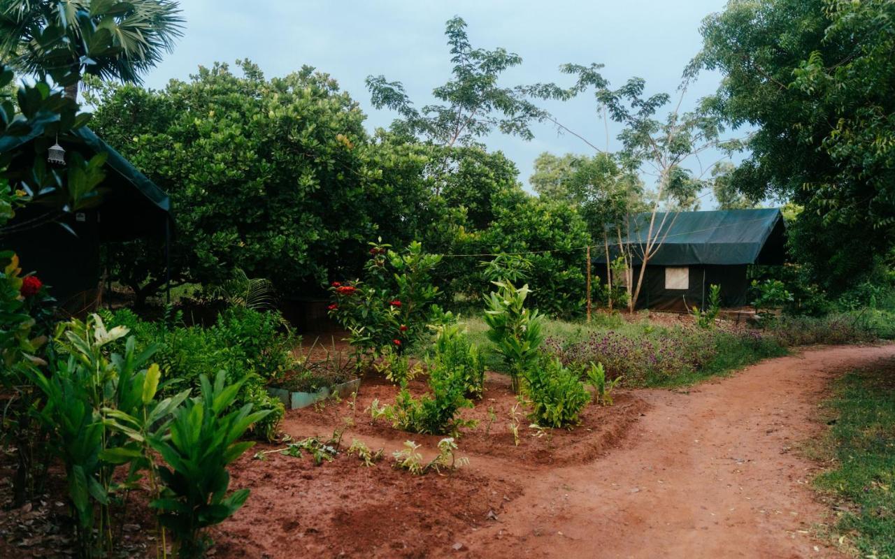 Apartmán Beyond Community Auroville Exteriér fotografie
