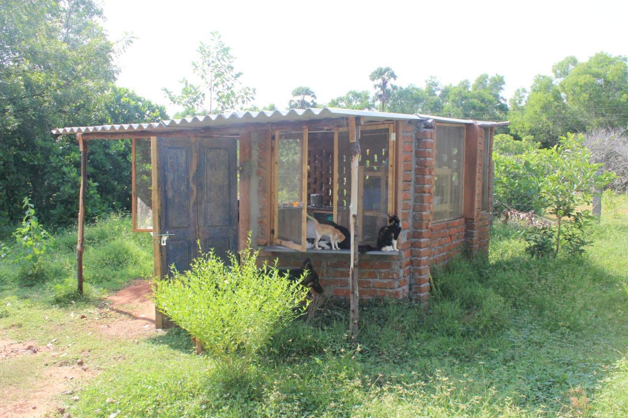 Apartmán Beyond Community Auroville Exteriér fotografie