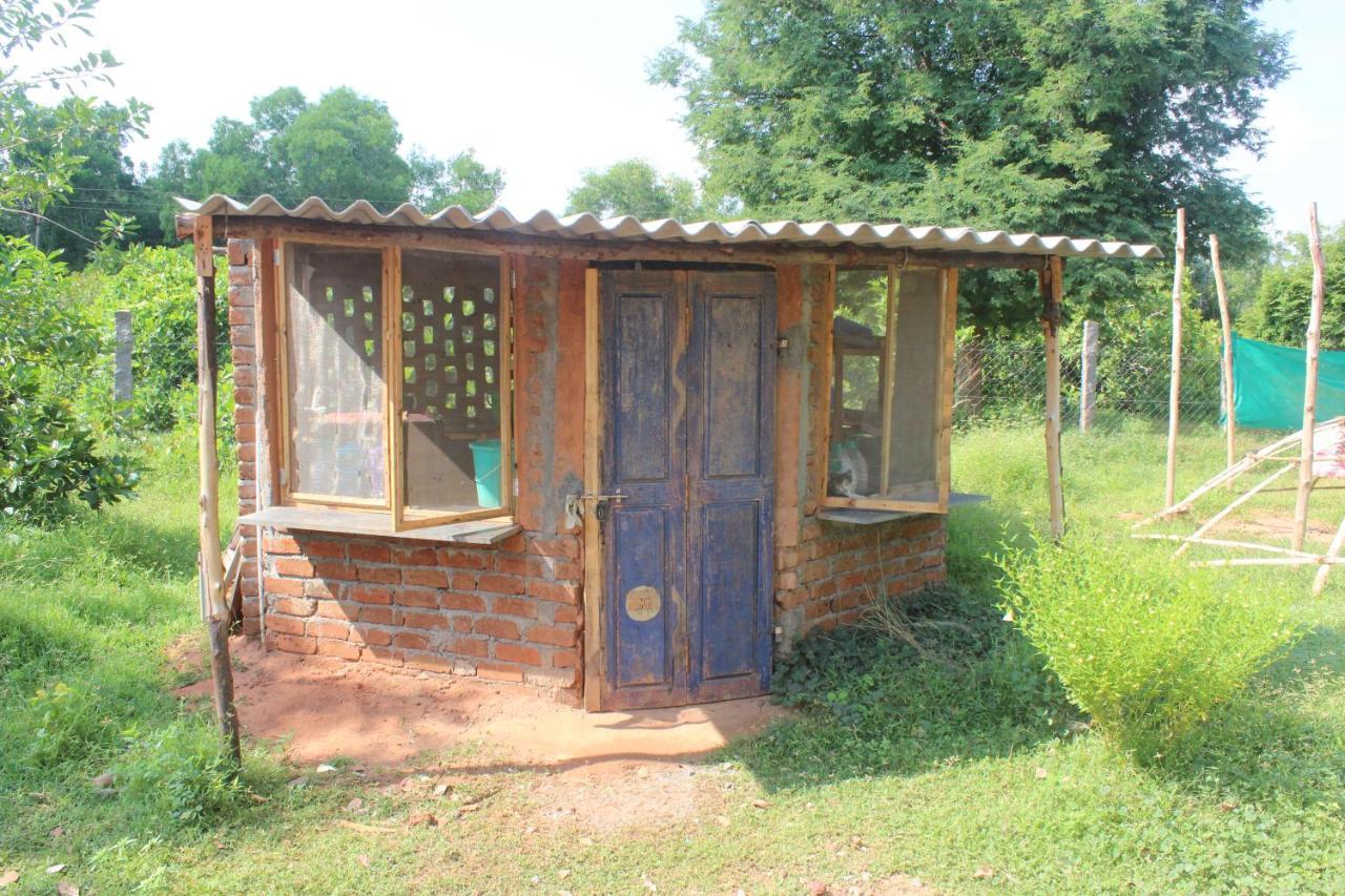 Apartmán Beyond Community Auroville Exteriér fotografie